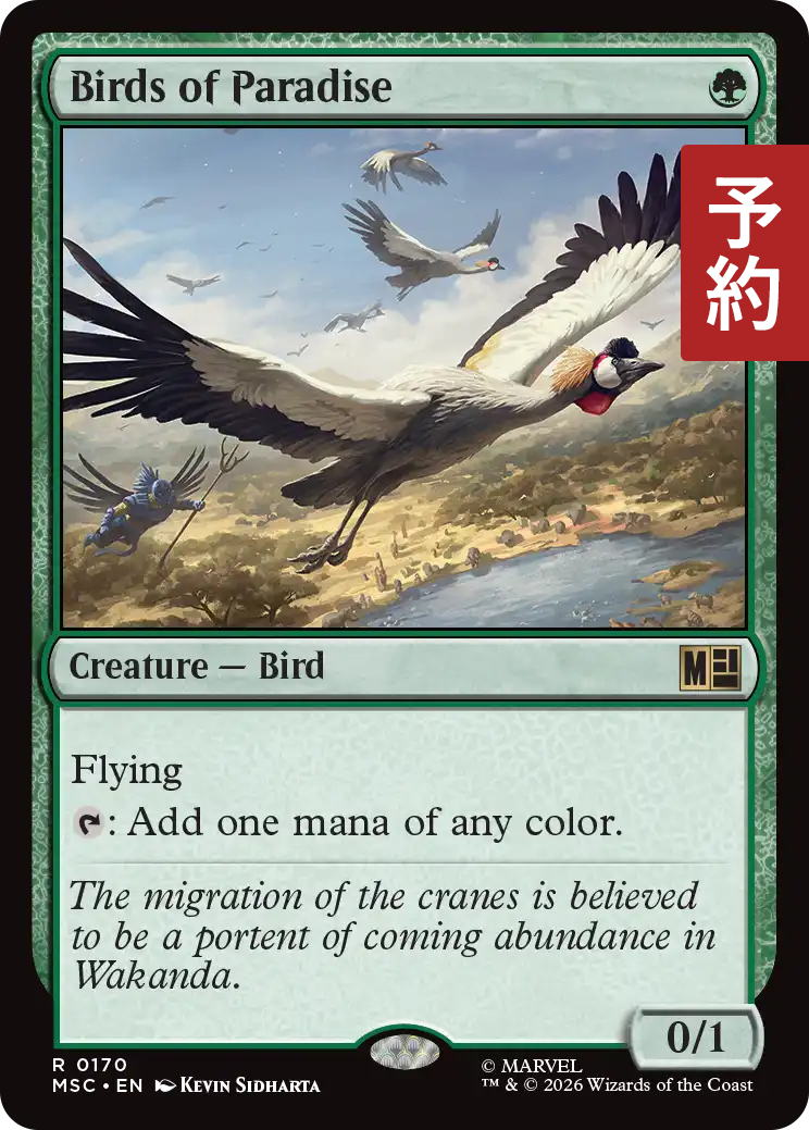 極楽鳥/Birds of Paradise 【英語版】 [MSC-緑R] (予約Z) - シングルスター