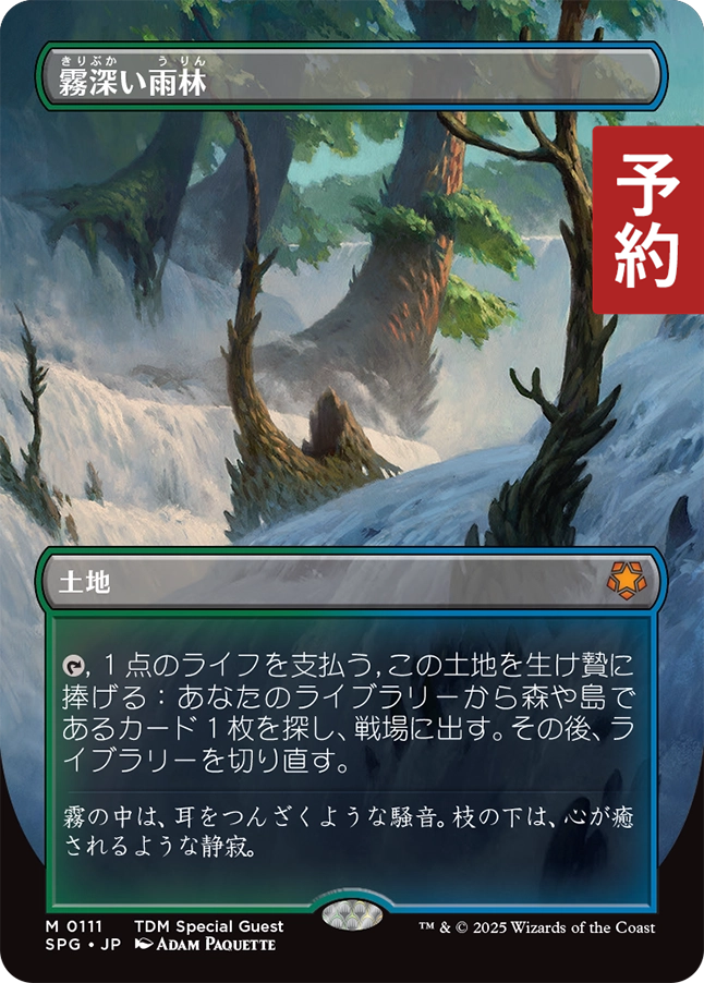 霧深い雨林/Misty Rainforest (全面アート版) 【日本語版】 [SPG-土地 
