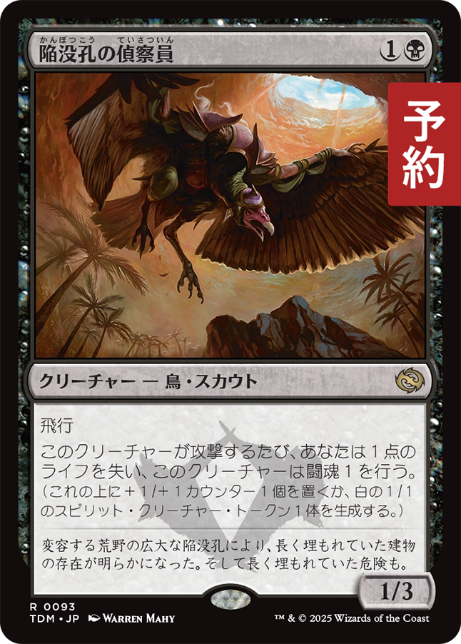 陥没孔/Sinkhole》[EMA] 黒R | 日本最大級 MTG通販サイト