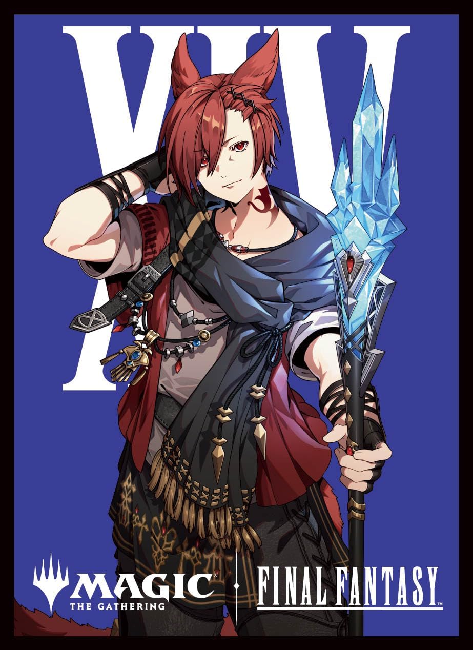 エンスカイ】 カードスリーブ FINAL FANTASY 『「キャラクター